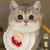 wbg_xiaohu