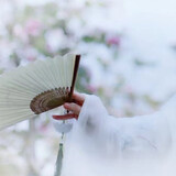 gusuxiyan