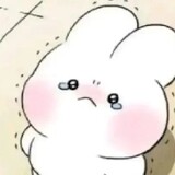 haoiii1