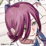 shuixingji