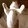 __-si-zhi-shen-