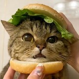 chaoshitouyu