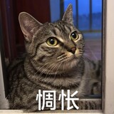 xiao___chacha