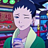 shikadaii-nara