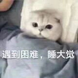 zhuijunaodongdashang