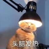 yuxiaomiao0616