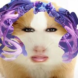 ximiemiexianding