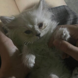 gudanup___