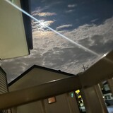 コイウシト