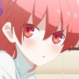belfastzhuxiaolai