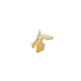 jinyingshi