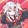 shinka_2