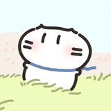 chunju________