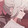 guaihaizhikimi