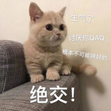 miaolujiang1