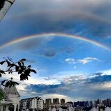huiminzhizhoubailuhu