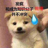 hahafeiwulaili