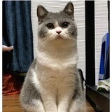 jiazijiazhula