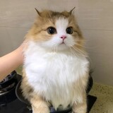 ______kukuxuan