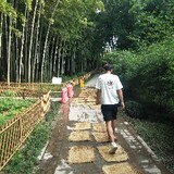 fengyoucaidaole
