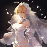 niludianxiaanのjia