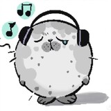 wuguiwhite