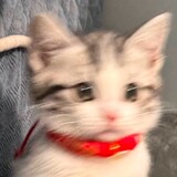 ksssssm
