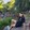 JESSICA BLOGS