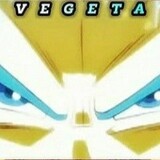 SSBEVEGETA