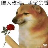 c___msxiaojingdoudou