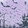 aaashu_