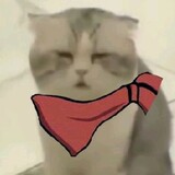 zzh0n9_