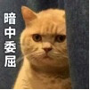 mamamihong
