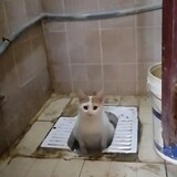 ME_55555559
