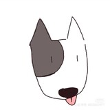 suki_bear