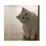 -beibeiya-
