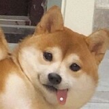 winterxuexuebuchirou