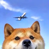 pigglechan