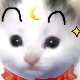 ___memeshenghuorijiy
