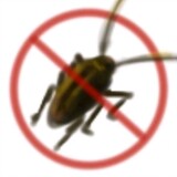 yuannihaozaishengxia