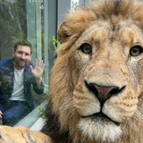 zuqiushanyangmessi