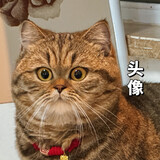 douhuabenhua_