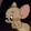yierdeer