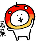 erzhongzhongerriji_
