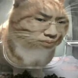 tingquanjianbaoovo