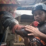 MC_CANON