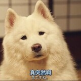 xingbuxingma123456