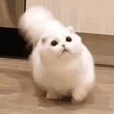 yundu___un