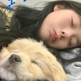 xiaoyezi54