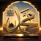 Faiz pasha_5223